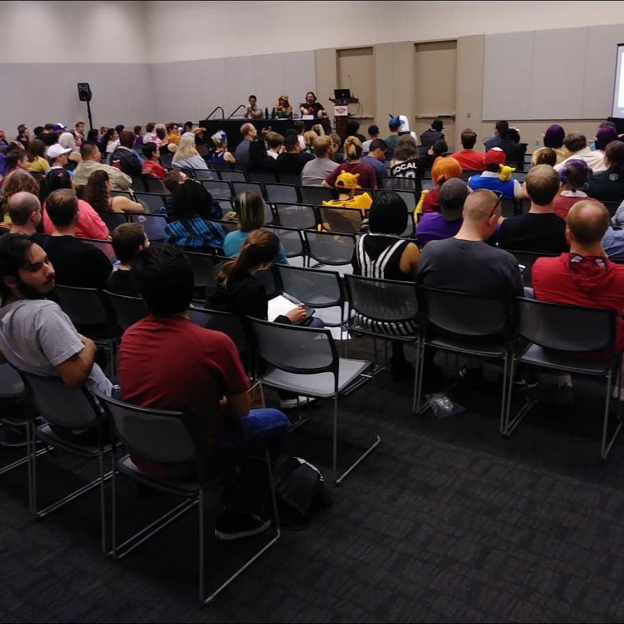 Speaking on a convention panel